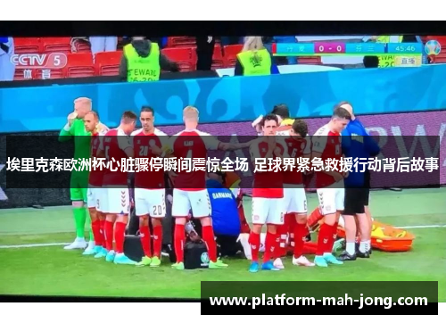 埃里克森欧洲杯心脏骤停瞬间震惊全场 足球界紧急救援行动背后故事